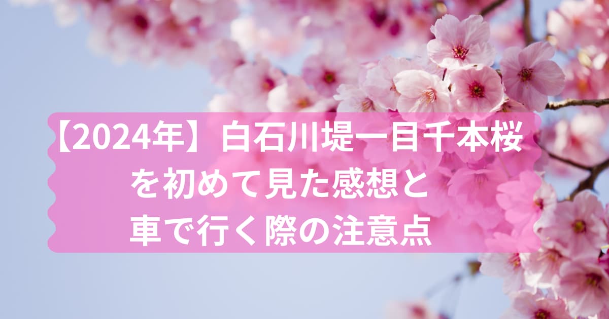 白石川堤一目千本桜のご紹介のメイン画像